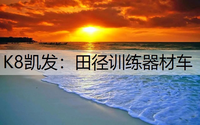 K8凯发：田径训练器材车