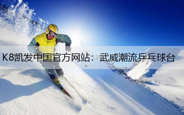 K8凯发中国官方网站：武威潮流乒乓球台
