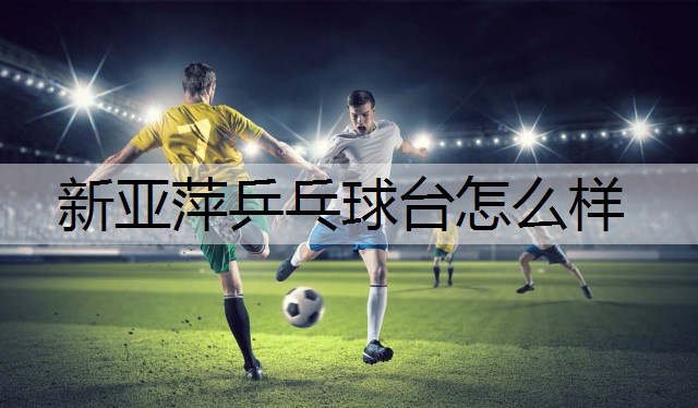 新亚萍乒乓球台怎么样