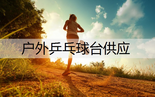 户外乒乓球台供应