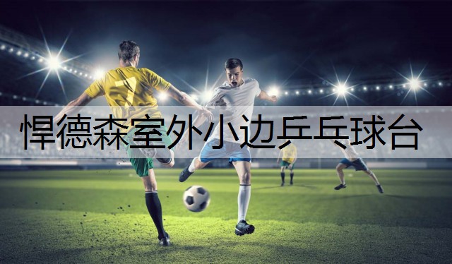 悍德森室外小边乒乓球台