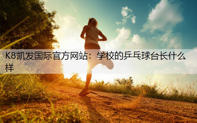 K8凯发国际官方网站：学校的乒乓球台长什么样