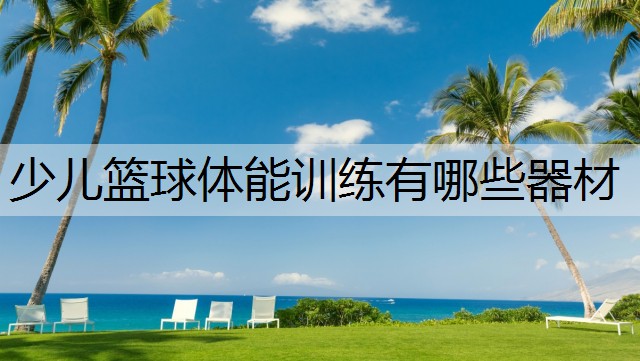 少儿篮球体能训练有哪些器材