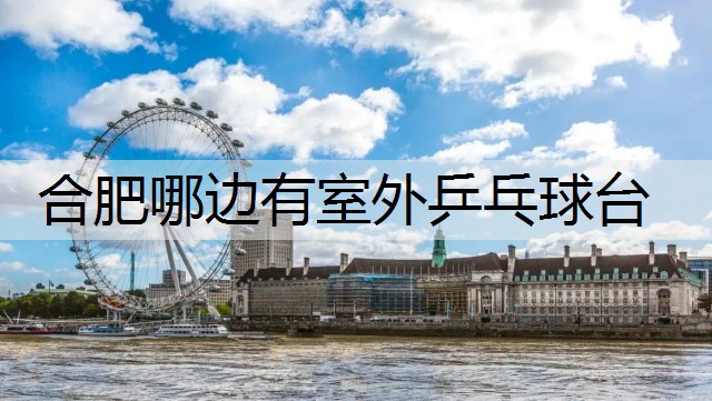 合肥哪边有室外乒乓球台