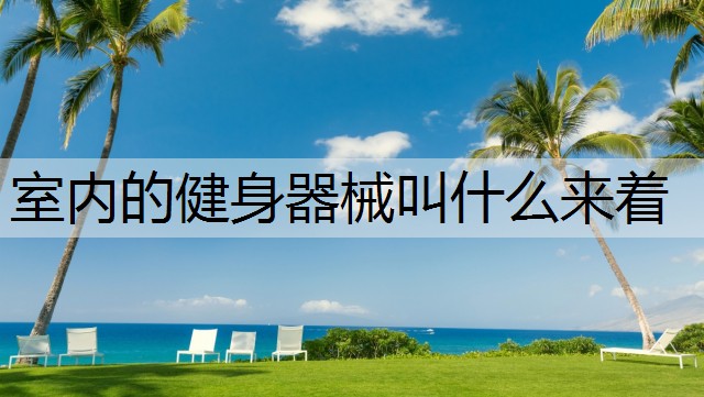室内的健身器械叫什么来着
