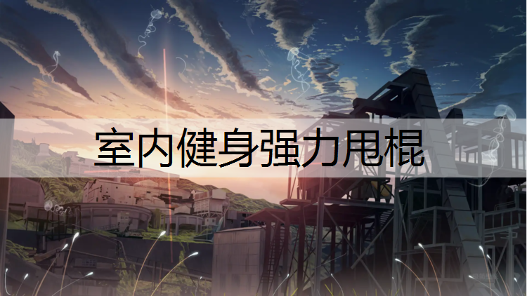 室内健身强力甩棍