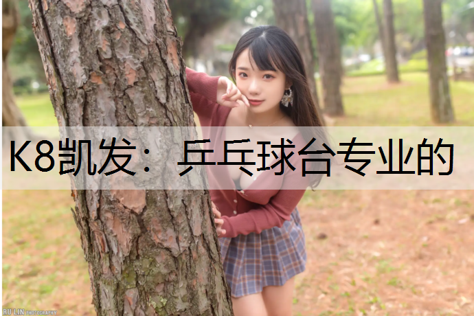 K8凯发：乒乓球台专业的