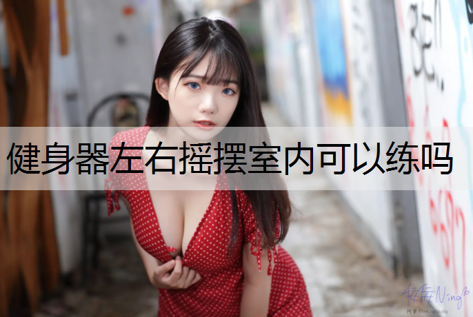 健身器左右摇摆室内可以练吗