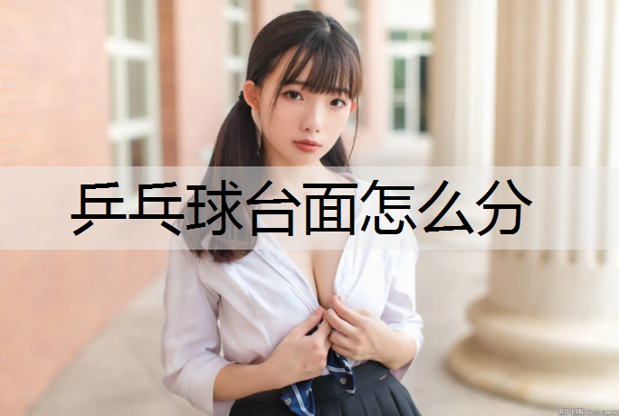 乒乓球台面怎么分