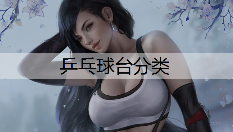 乒乓球台分类
