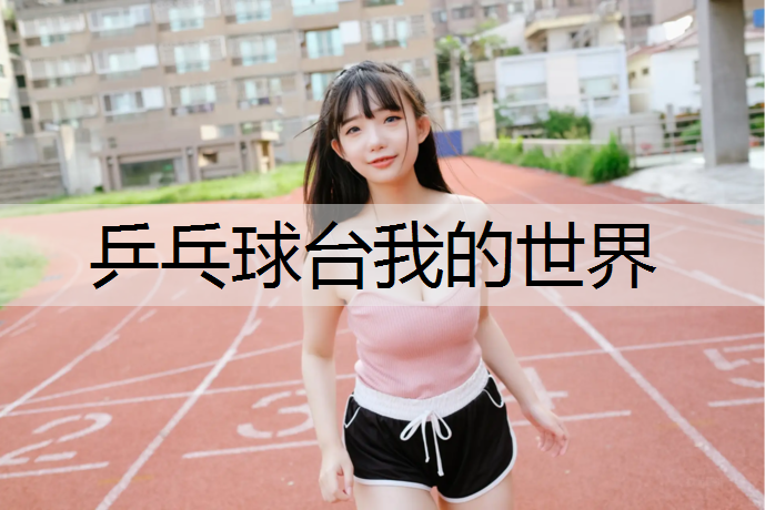 乒乓球台我的世界