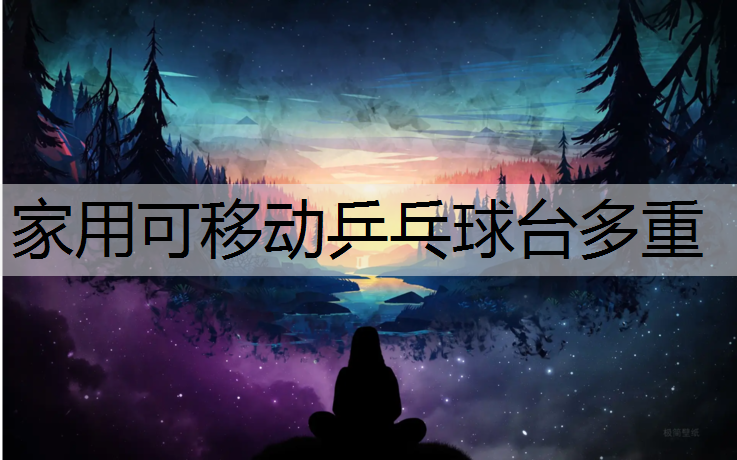 家用可移动乒乓球台多重