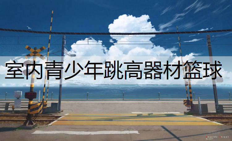 室内青少年跳高器材篮球