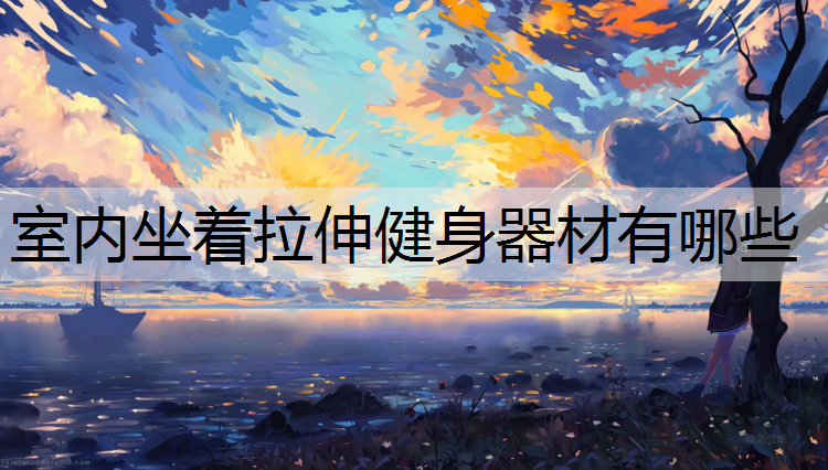 室内坐着拉伸健身器材有哪些