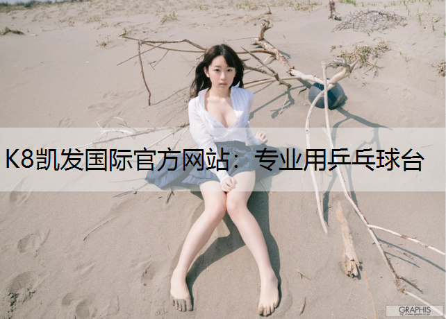 K8凯发国际官方网站：专业用乒乓球台