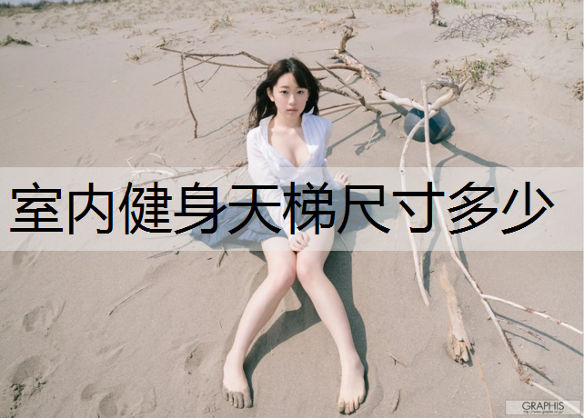 室内健身天梯尺寸多少