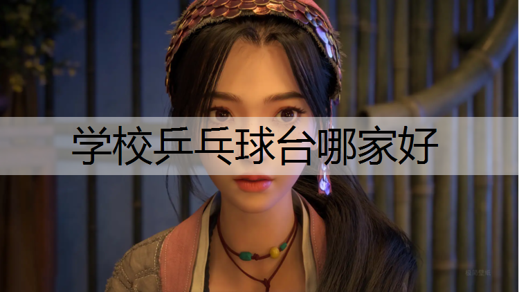 学校乒乓球台哪家好