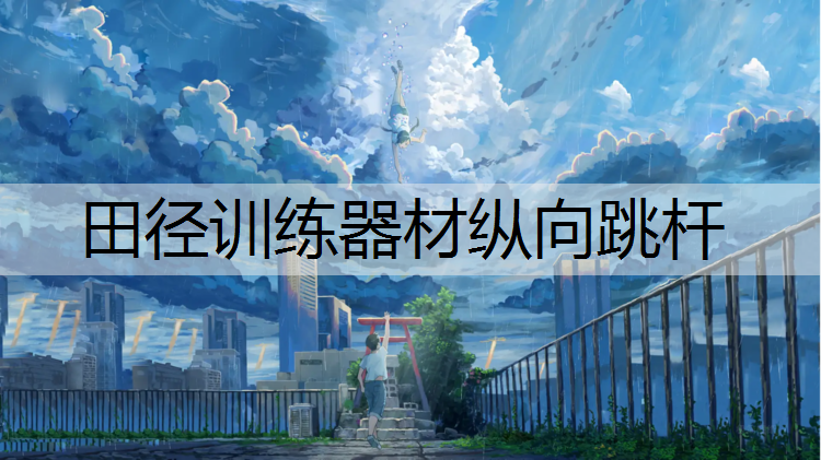 田径训练器材纵向跳杆
