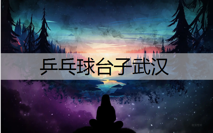 乒乓球台子武汉