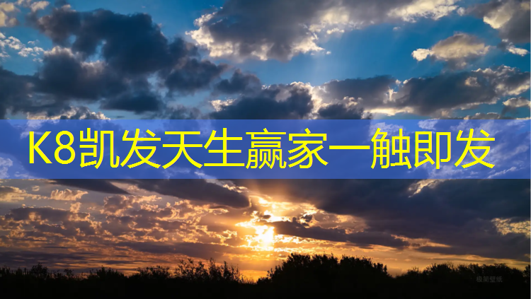 k8凯发官网入口：乐打跆拳道智能护具