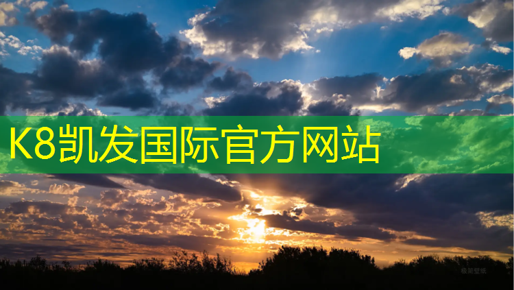 K8凯发中国官方网站：塑胶跑道样块样品图
