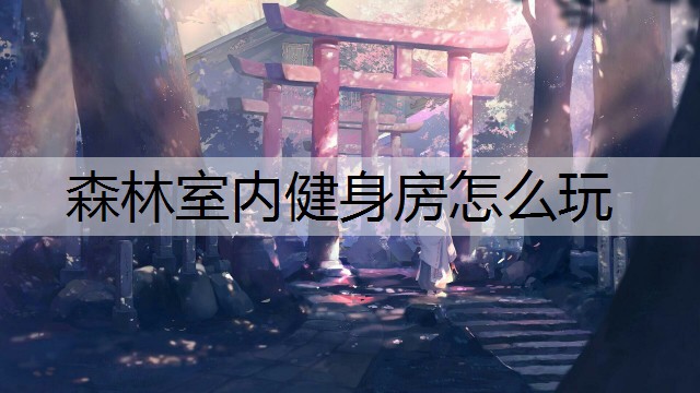 森林室内健身房怎么玩