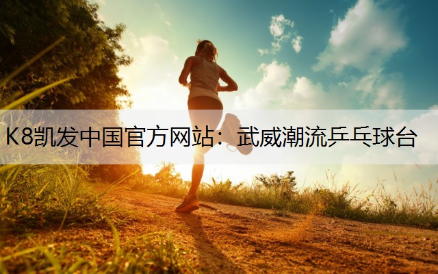 武威潮流乒乓球台