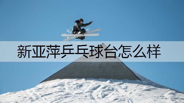 新亚萍乒乓球台怎么样