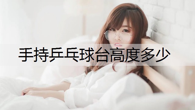 手持乒乓球台高度多少