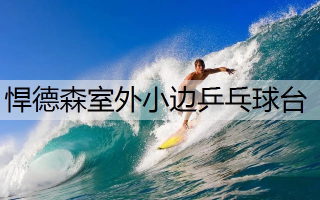 悍德森室外小边乒乓球台