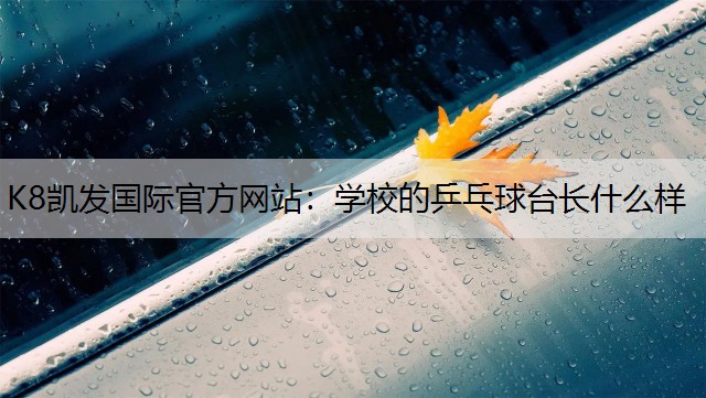 学校的乒乓球台长什么样