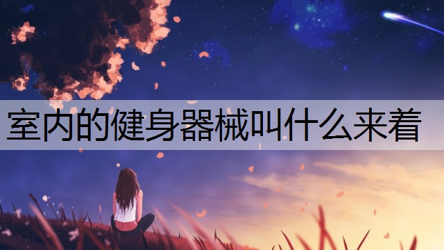 室内的健身器械叫什么来着