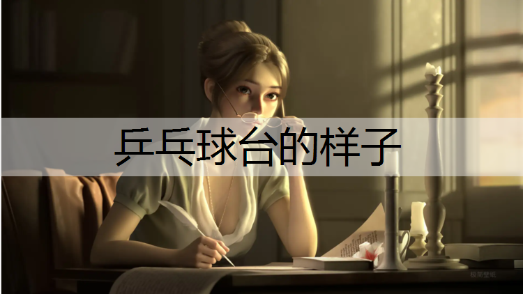 乒乓球台的样子
