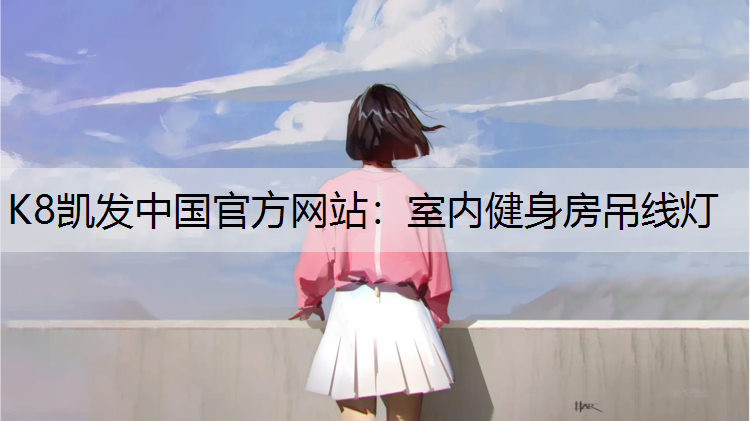 室内健身房吊线灯