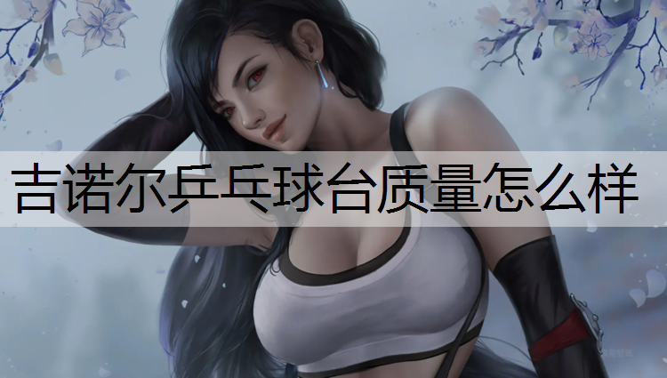 吉诺尔乒乓球台质量怎么样