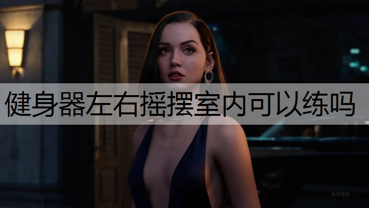 健身器左右摇摆室内可以练吗