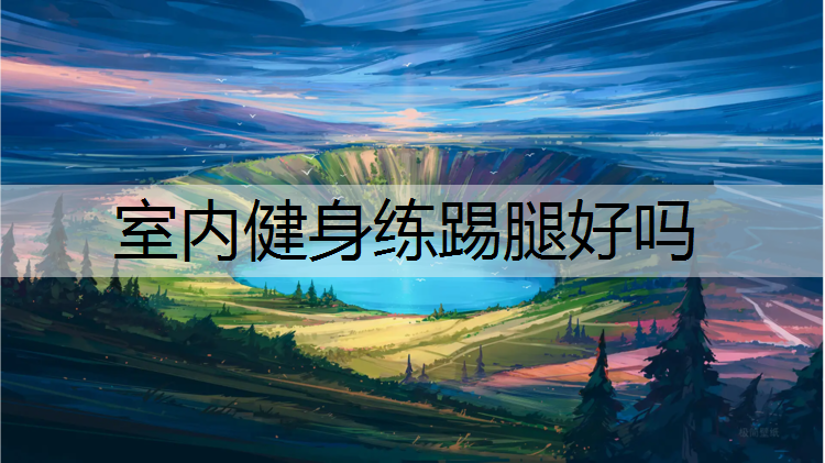 室内健身练踢腿好吗