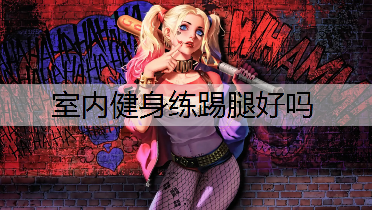 室内健身练踢腿好吗