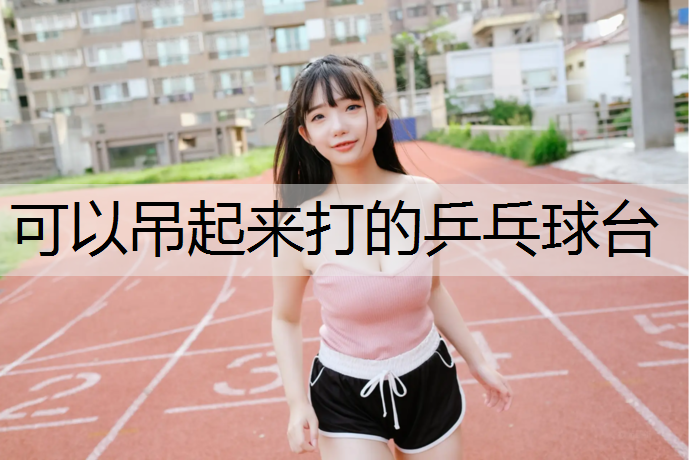 可以吊起来打的乒乓球台