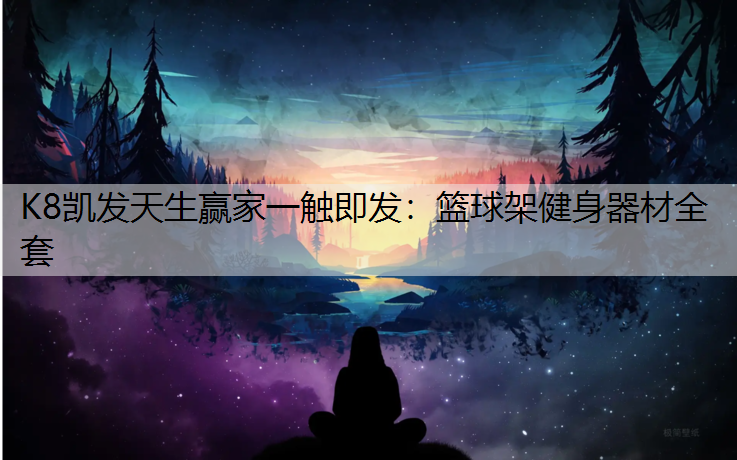 篮球架健身器材全套