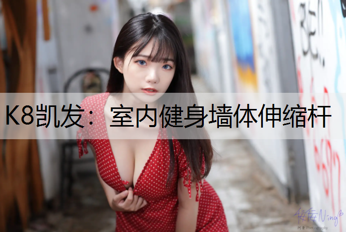 室内健身墙体伸缩杆