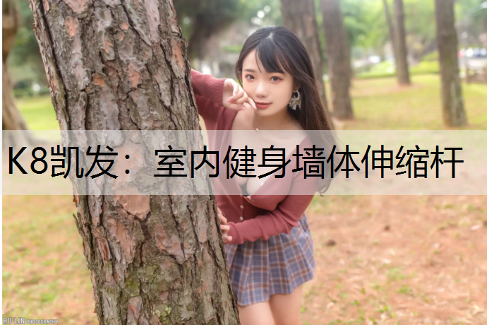 室内健身墙体伸缩杆